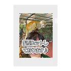 タイシンガーブランドン茂のおさるアイデア Clear File Folder