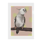 オカメインコのつみくんのオカメインコのつみくん Clear File Folder