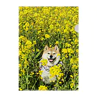 ハナちゃんの！の菜の花ハナちゃん Clear File Folder