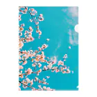 青空市場の青空と桜 Clear File Folder