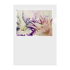 kohaku_no.5のflowers Clear File Folder