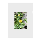 サトリん55の春の花 Clear File Folder