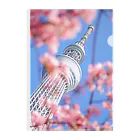 OgaのTokyo SKYTREE in Spring Clear File Folder