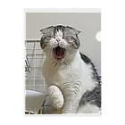 No Cats No LifeのMee3 Clear File Folder