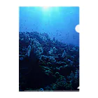 Eisuke Kuwahataの黒潮の海 Clear File Folder