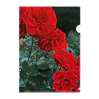 その日暮らし。の薔薇のお花 深紅 Clear File Folder