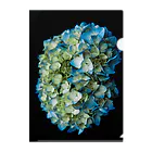 ごとー/お写真と日常の青の紫陽花 クリアファイル