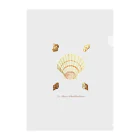 mincora.の貝がら seashells Clear File Folder