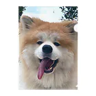 mofuakitaのBIG SMILE AKITA Clear File Folder