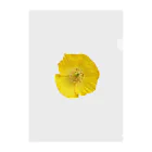 umameshiのポピーの花 / poppy flower Clear File Folder