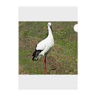 EnjoyConnectorのStork ver.1 Clear File Folder