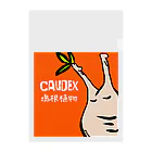 パキポキさんのcaudex  Clear File Folder