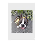 Laikathebostonterrierのおさんぽライカ2 Clear File Folder