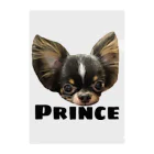 チワワのOWTANのPRINCE  チワワ　ホワイト Clear File Folder