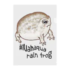 LalaHangeulのNamaqua rain frog(なまかふくらがえる) 英語バージョン Clear File Folder