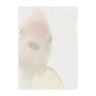 アヒル屋のぽけ〜っと金魚くん Clear File Folder