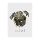 みきぞーん｜保護猫 ミッキー画伯と肉球とおともだちのsasuke クリアファイル