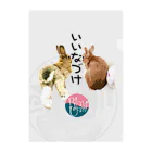 うさぎのうみちゃんねるショップのうさぎのいいなづけ-うさぎのりん＆うみ クリアファイル