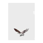 狐灯籠　野鳥支店のランチタイムのミサゴ クリアファイル