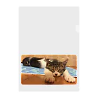南の島のにゃんこの飛べるポーズで眠るパル～南の島のにゃんこ～ Clear File Folder