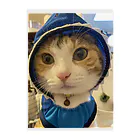 monekosideの保護猫まくらちゃんコス！ クリアファイル