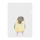 まめるりはことりの可愛いウロコメキシコインコちゃん【まめるりはことり】 クリアファイル