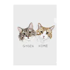 みきぞーん｜保護猫 ミッキー画伯と肉球とおともだちのgyoza&kome クリアファイル