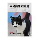 Cats Digital Marketing 【ひげ商店 石垣島】のひげちゃん　クリアファイル Clear File Folder