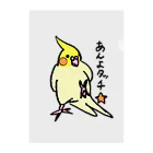 すなねことぽいんちょのオカメインコ　ポインチョ　あんよタッチ　 Clear File Folder