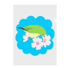 LalaHangeulの桜とメジロさん Clear File Folder