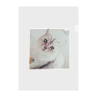 kawaiiの猫 Clear File Folder