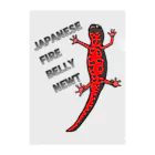 LalaHangeulのJAPANESE FIRE BELLY NEWT (アカハライモリ)　 Clear File Folder