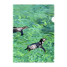 天秤座のペンギンといっしょ Clear File Folder