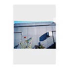 サチンカメラの屋上の花 クリアファイル