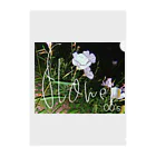 00'sの00'sのflower Clear File Folder