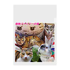 うさぎのマルチの動物ファミリーの家グッズ Clear File Folder