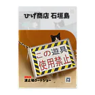 Cats Digital Marketing 【ひげ商店 石垣島】のクリアファイル Clear File Folder