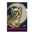 ねこのあしあと🐾のPretty devil クリアファイル