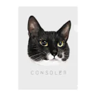 CONSOLER(コンソレ)のCONSOLER 猫 002 Clear File Folder