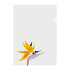 kimchinのカラフルな花　ストレリチア・極楽鳥花 クリアファイル