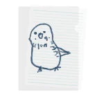 tamaccoのインコさん Clear File Folder