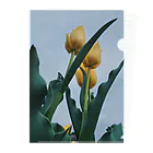 TRADECOM JAPANのFLOWERS < TULIP 001> Clear File Folder