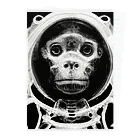 Eye2EyeのSpace Monkey #2 Clear File Folder