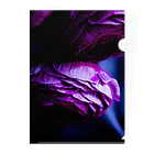 LysPourpreのPurple ranunculus Clear File Folder