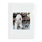 kamashowののびやかな猫 Clear File Folder