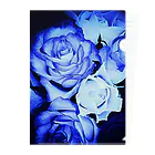 Anna’s galleryのBLUE Rose Clear File Folder