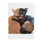 結社黒猫の猫LOVE Clear File Folder