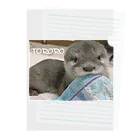 LOUTRE～カワウソと過ごす時間～の赤ちゃんカワウソとろろ Clear File Folder