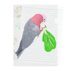 Lily bird（リリーバード）のチンゲン菜食べるモモイロインコ Clear File Folder