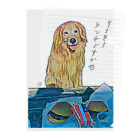 アウトドア大好き秋田犬の◇そろそろランチですか⁉︎◇ Clear File Folder